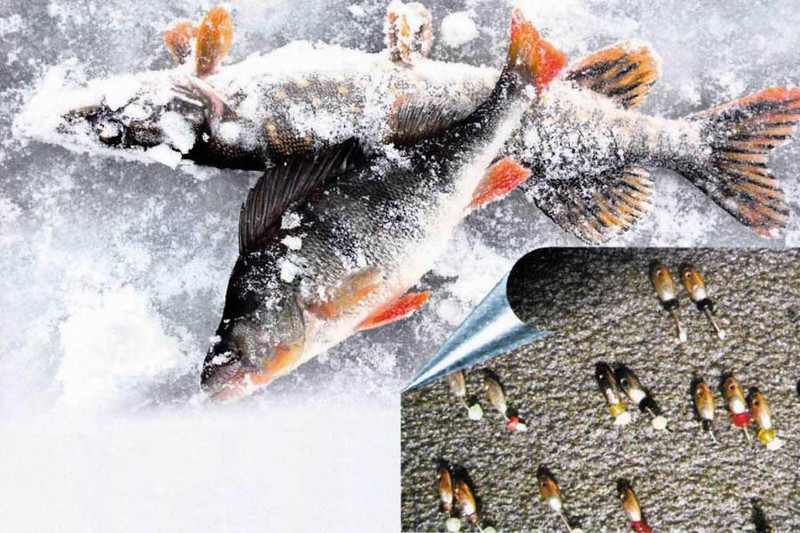 Зимняя рыбалка на окуня на мормышку