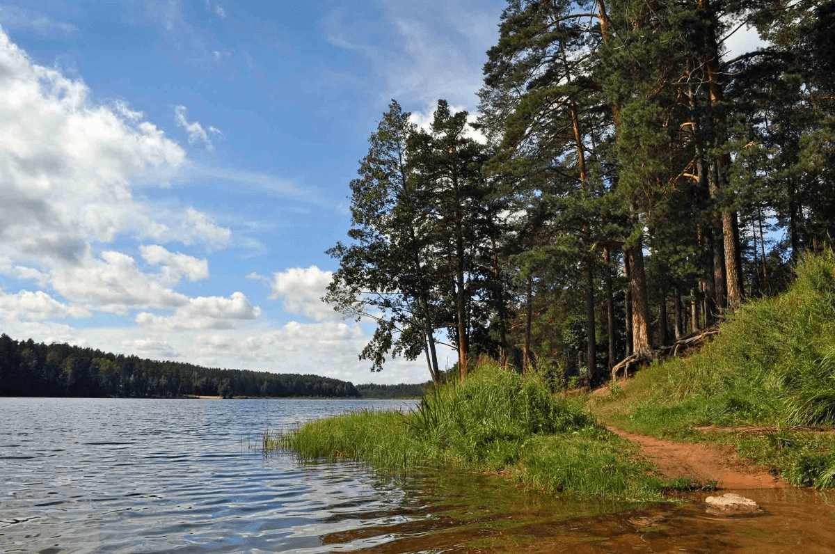 Озера ленинградской области — карта, базы отдыха и пляжи, рыбалка, как добраться,  фото, где находятся