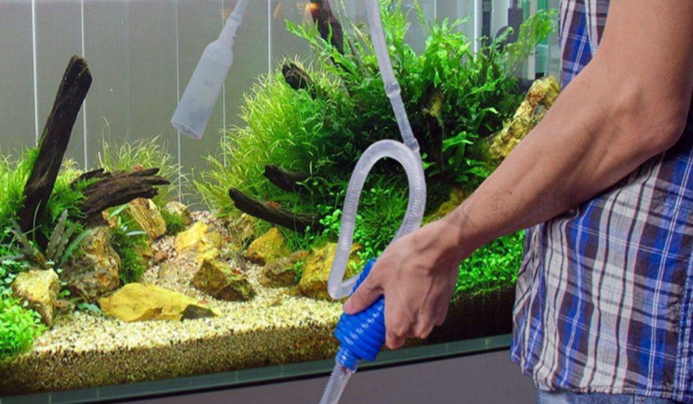 Вода для аквариума и её подготовка: как быстро приготовить