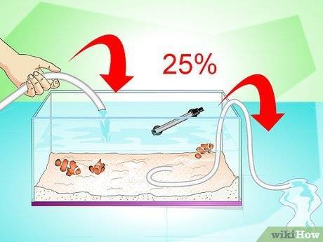 Сколько отстаивать воду для аквариума?