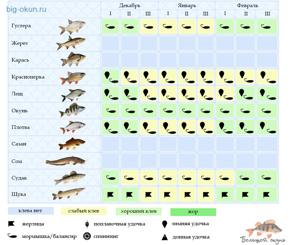 Календарь клева хищной рыбы 2020 лунный календарь для щуки 2020