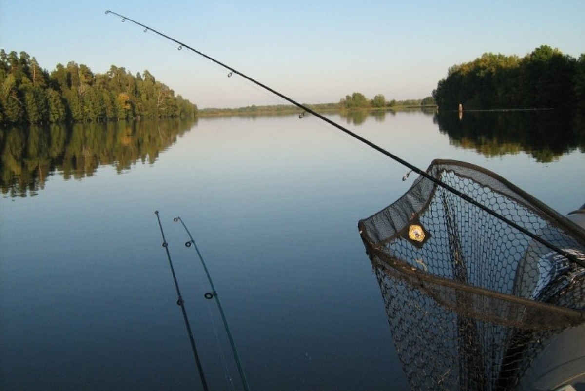 Рыбалка в астраханской области 2019 на волге