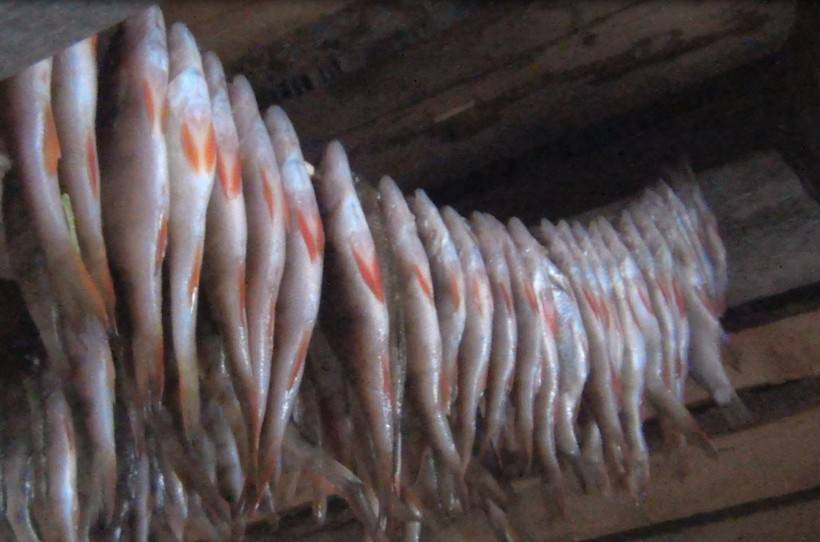 Как солить леща: (приготовление безопасной вяленой рыбы и икры)