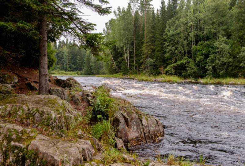 какая рыба водится в ладожском озере в карелии. Смотреть фото какая рыба водится в ладожском озере в карелии. Смотреть картинку какая рыба водится в ладожском озере в карелии. Картинка про какая рыба водится в ладожском озере в карелии. Фото какая рыба водится в ладожском озере в карелии