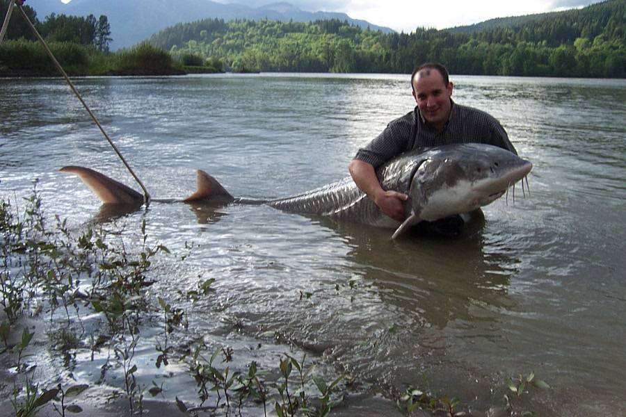 15 лучших рыболовных мест калининградской области – рыбалке.нет