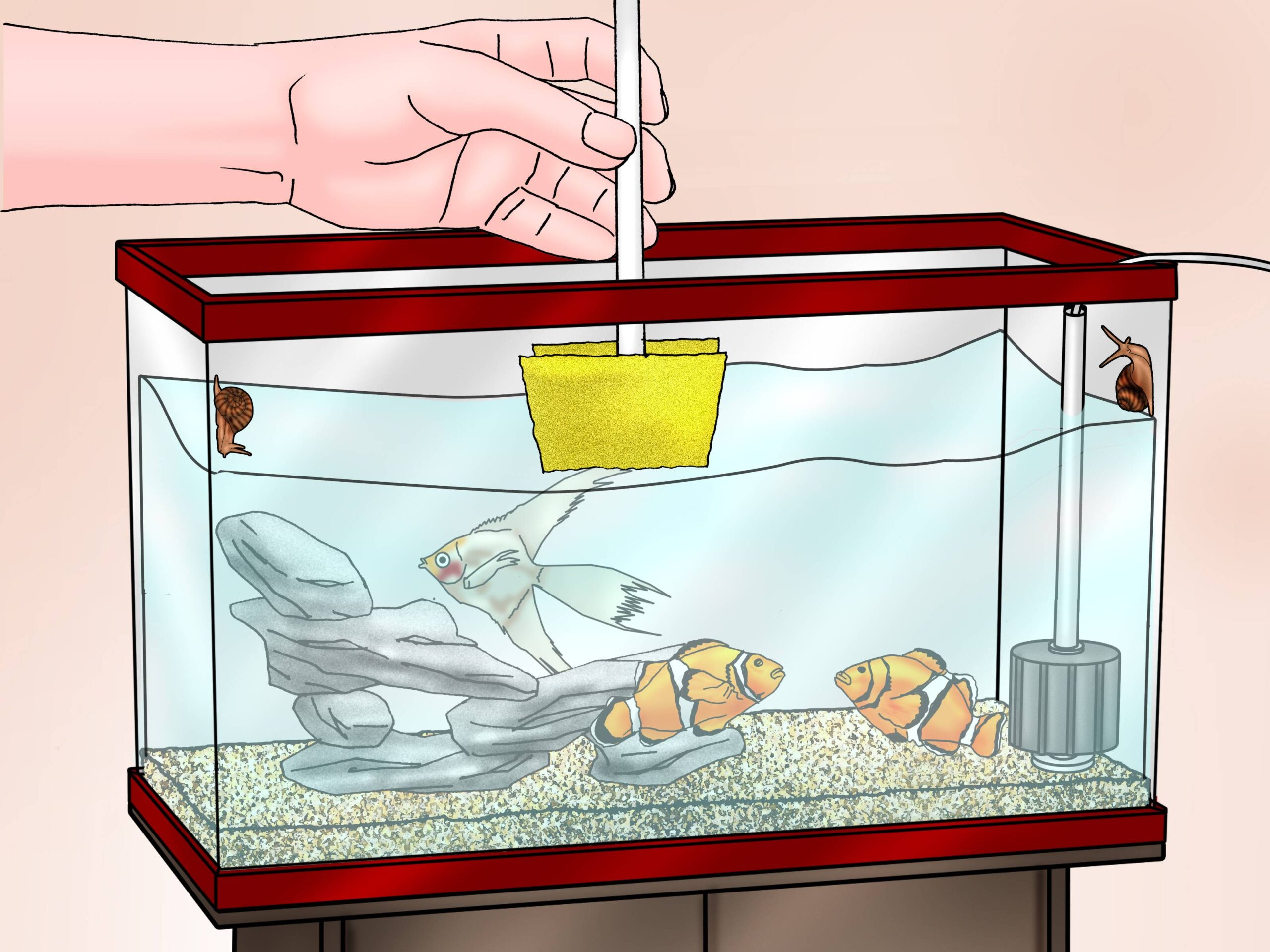 Как ухаживать за рыбками в аквариуме
как ухаживать за рыбками в аквариуме