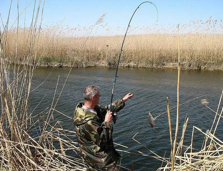 Рыбалка в ростовской области: обзор водоемов, платная и бесплатная ловля