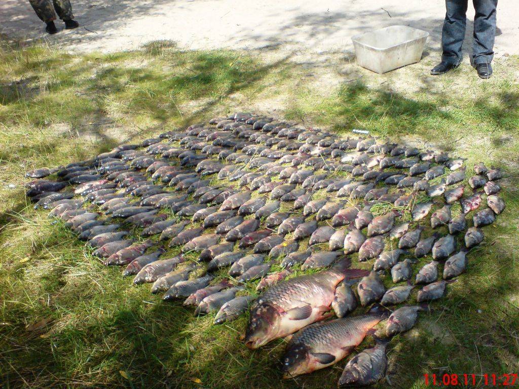 Особенности рыбалки в брестской области: реки и озера, карта водоемов