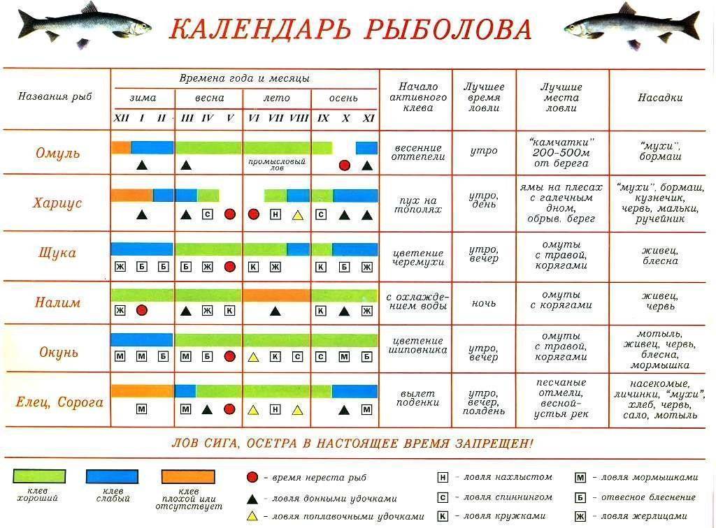 Карта клева рыбы в подмосковье на сегодня