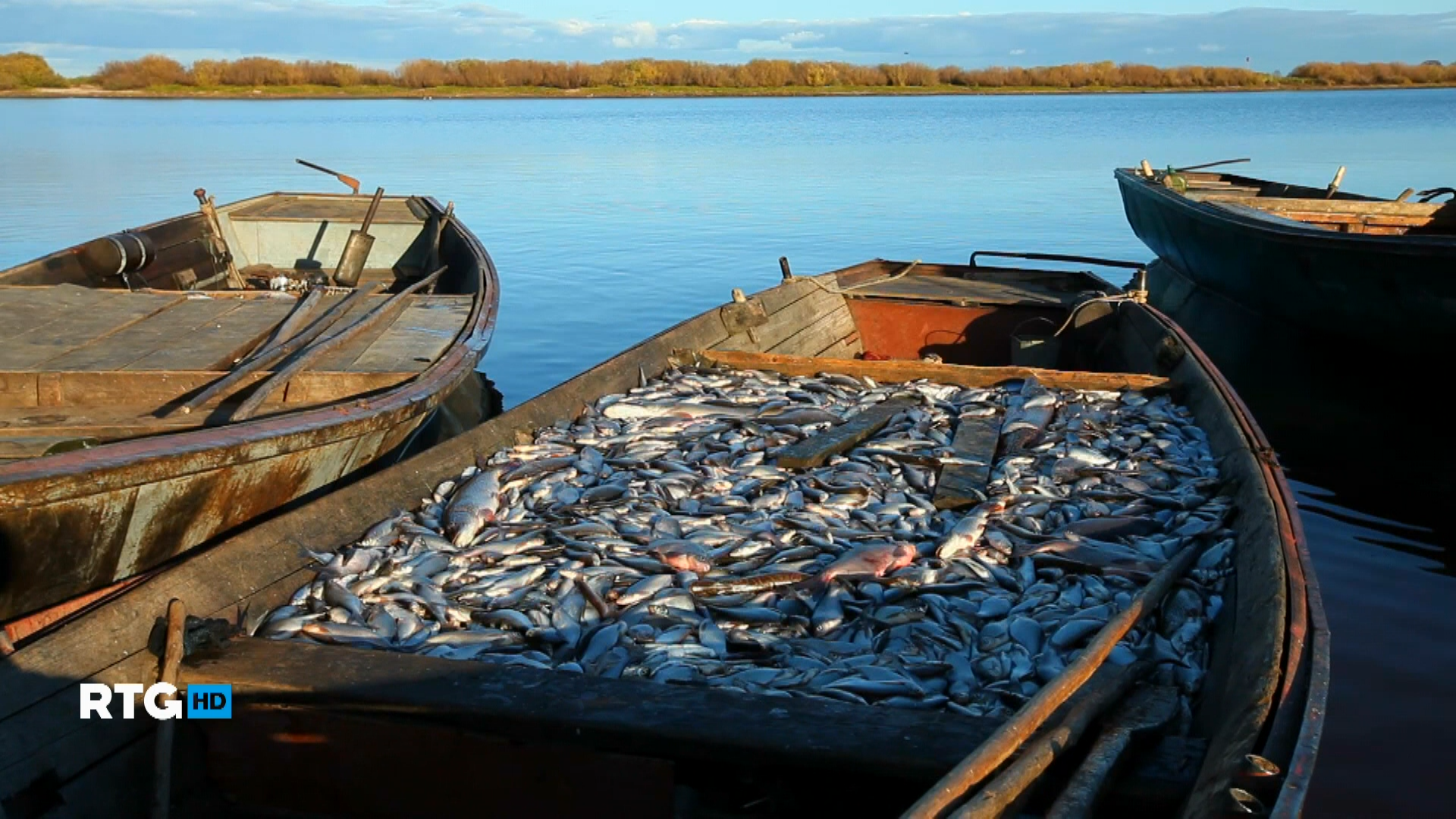 Рыбалка в тверской области 2022: рыбалка на волге, запрет, платная рыбалка