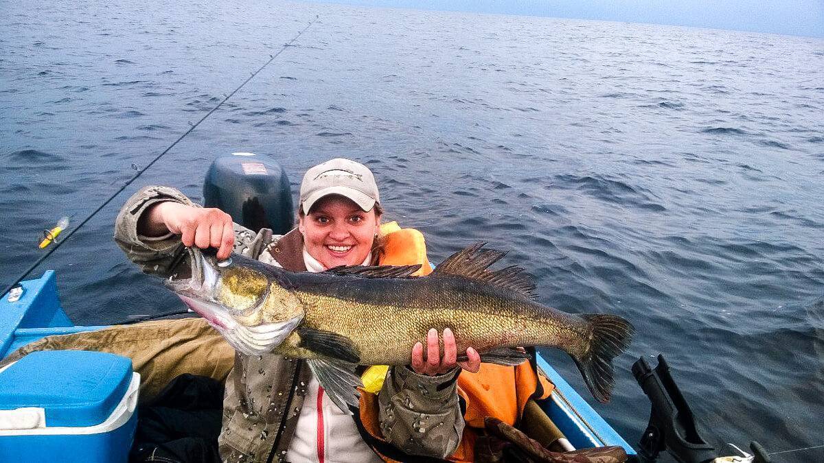 Платная рыбалка в ленинградской области: цены на базы и туры для платной рыбалки на озерах и реках области