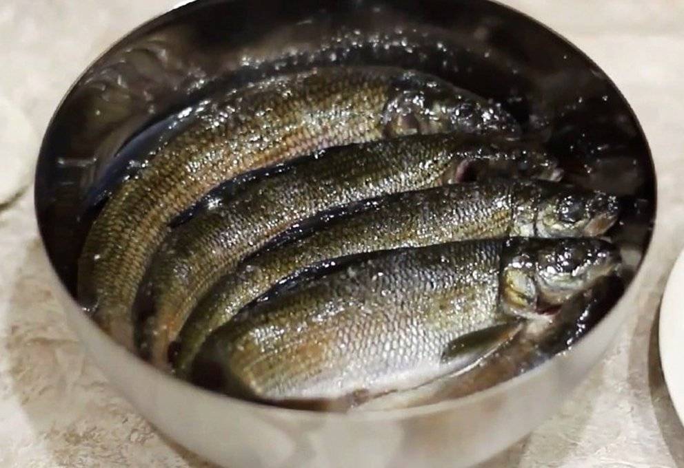 Малосольный лосось с луком за 40 минут