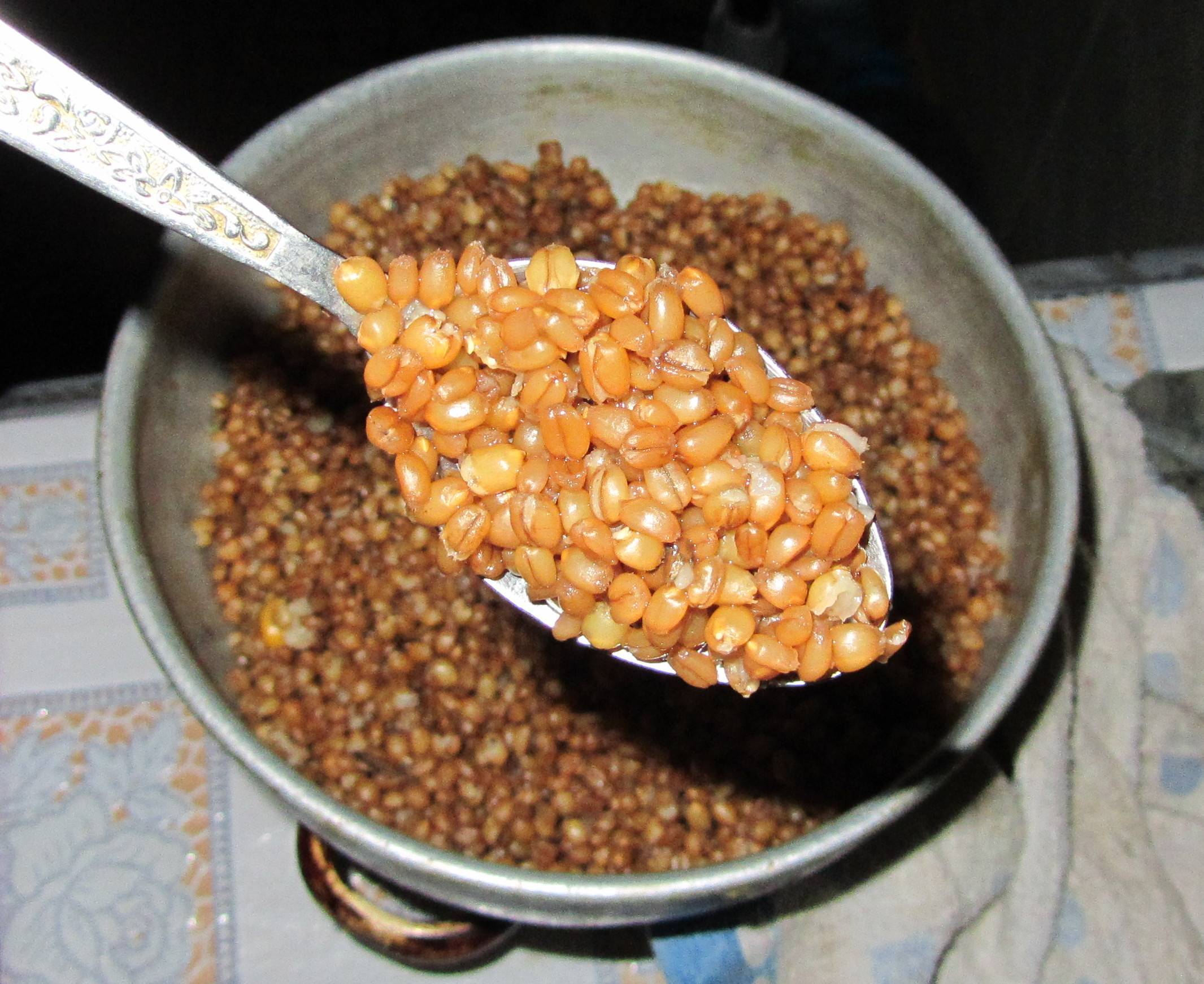 Как запарить пшеницу для рыбалки: отваривание и ферментация