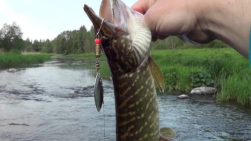 Рыбалка в башкирии: где ловить рыбу на реках и озёрах, платные места лова | berlogakarelia.ru