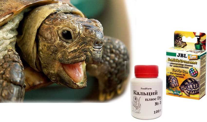 Недостаток витамина d3 и кальция (рахит, гипокальцинация, остеопения)