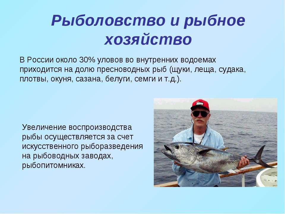 Запрет на рыбалку 2020
