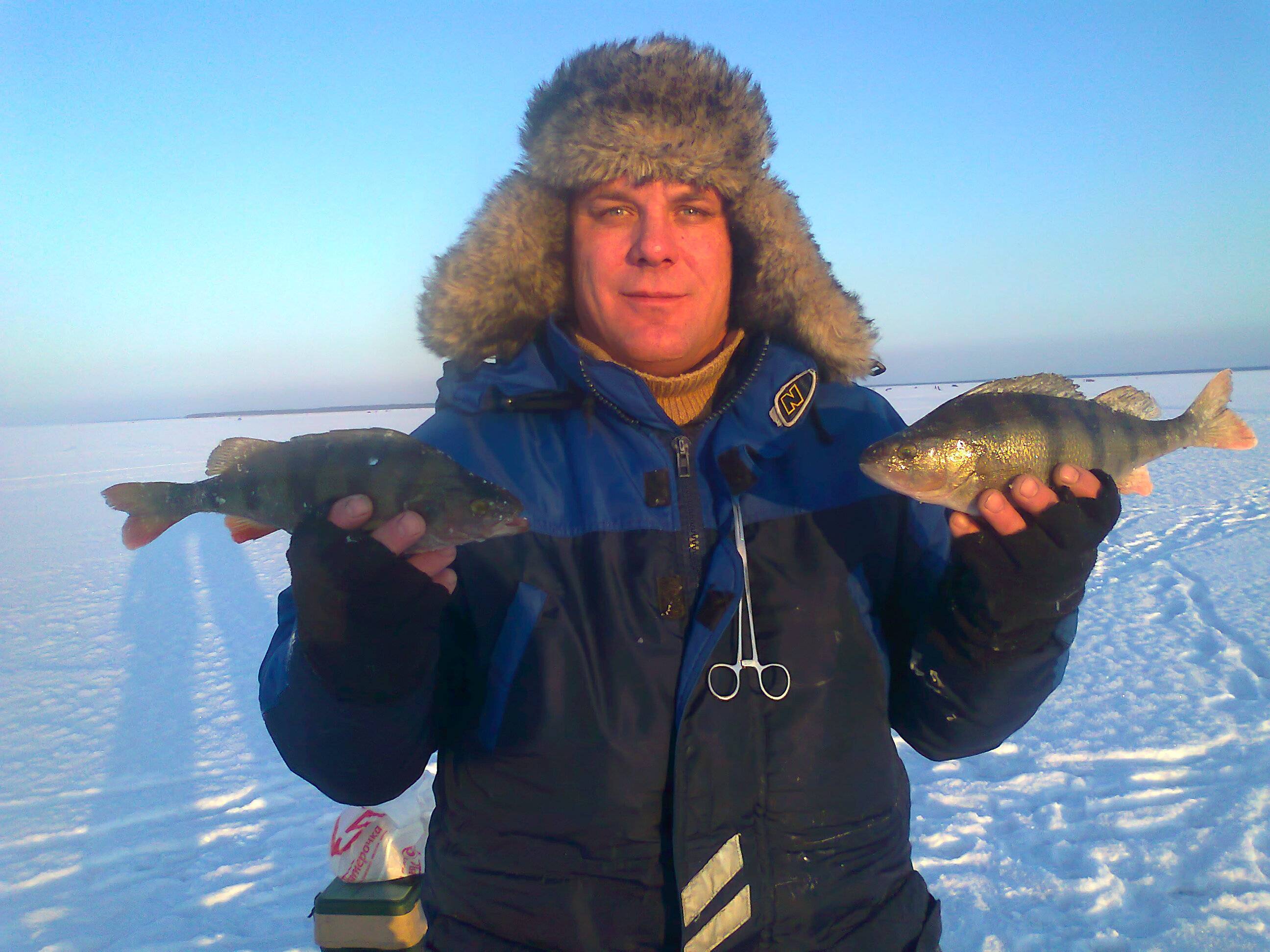 Новости с водоемов питерский. Клуб рыбаков. Питерский Рыбак. Вести с водоёмов Ленинградской области. Клуб рыбаков рыбалка.