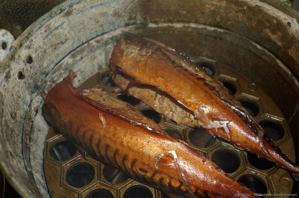 Форель горячего копчения – 7 рецептов рыбных блюд