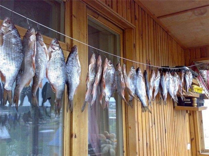 Условия и сроки хранения сушеной рыбы
