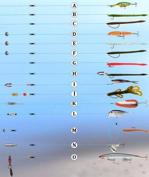 Подходящие места для летней рыбалки на различных водоёмах