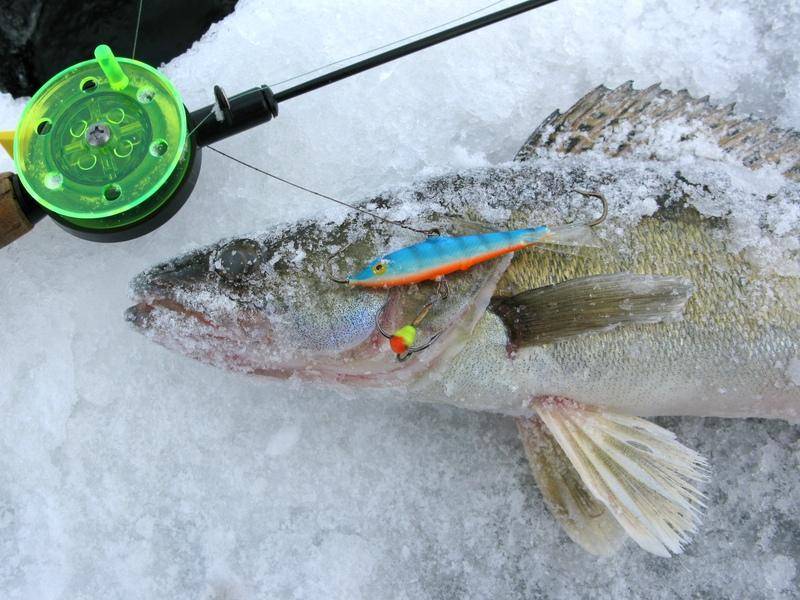 Балансиры для зимней рыбалки: как ловить, какую рыбу ловят на балансиры, удочки для зимней рыбалки и лучшие балансиры топ-10