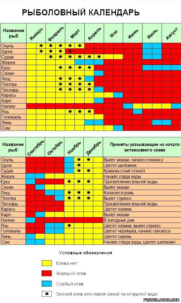 Календарь рыбалки. Таблица клева рыбы. Календарь лова рыбы.