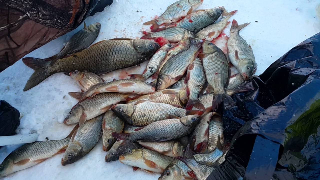 Рыбалка в Сибири зимой