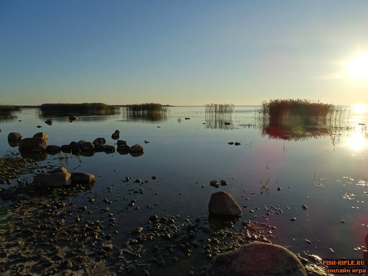 Отдых на ладоге: лучшие места для рыбалки. ладожское озеро: рыбалка, лучшие места для ловли и отдыха на ладоге