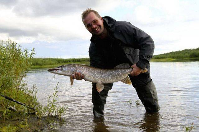 какая рыба водится в ангаре иркутская область. Смотреть фото какая рыба водится в ангаре иркутская область. Смотреть картинку какая рыба водится в ангаре иркутская область. Картинка про какая рыба водится в ангаре иркутская область. Фото какая рыба водится в ангаре иркутская область