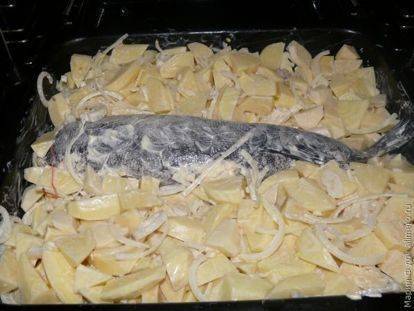 Щука с картошкой в духовке со сметаной рецепт с фото пошагово - 1000.menu