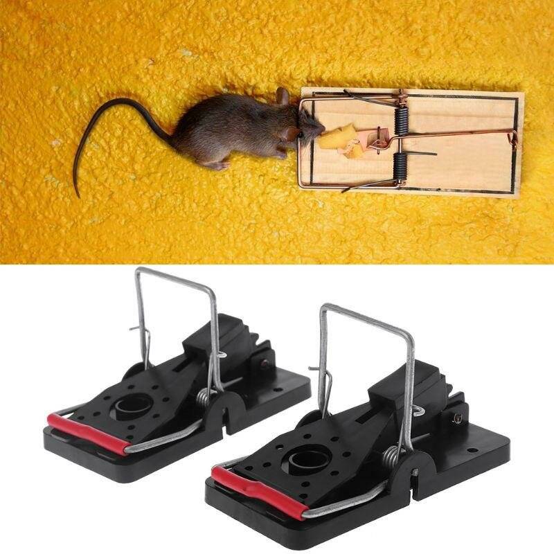 Как быстро и эффективно избавиться от мышей и крыс, 20 средств для борьбы в домашних условиях