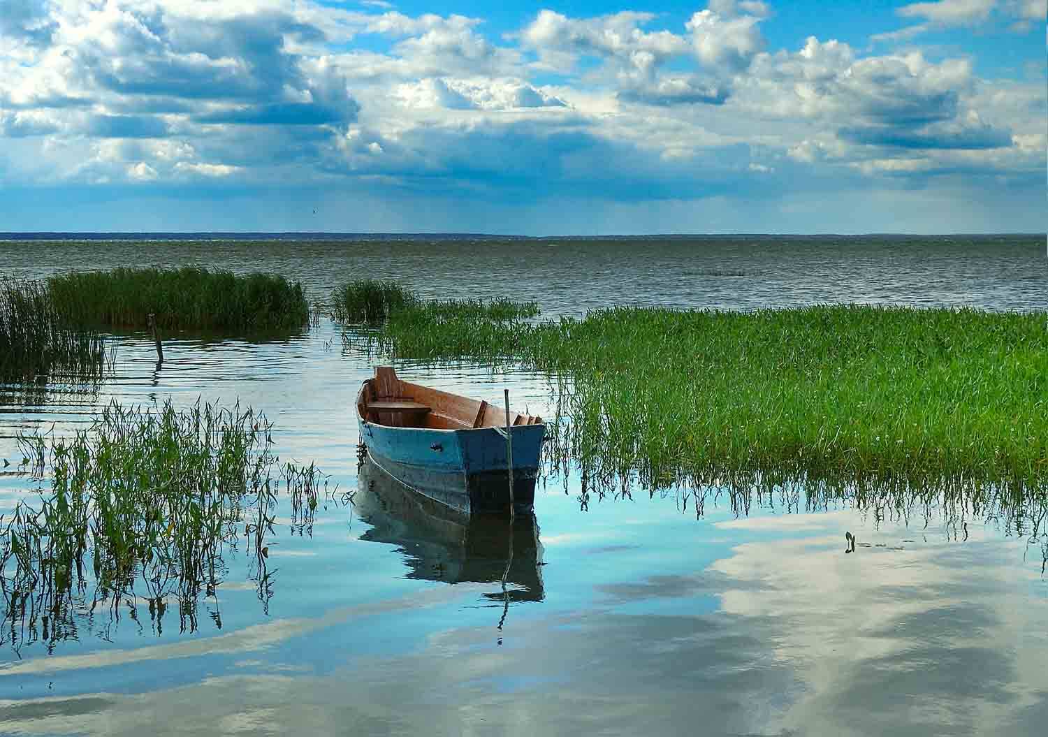 Фото рыбы на берегу реки