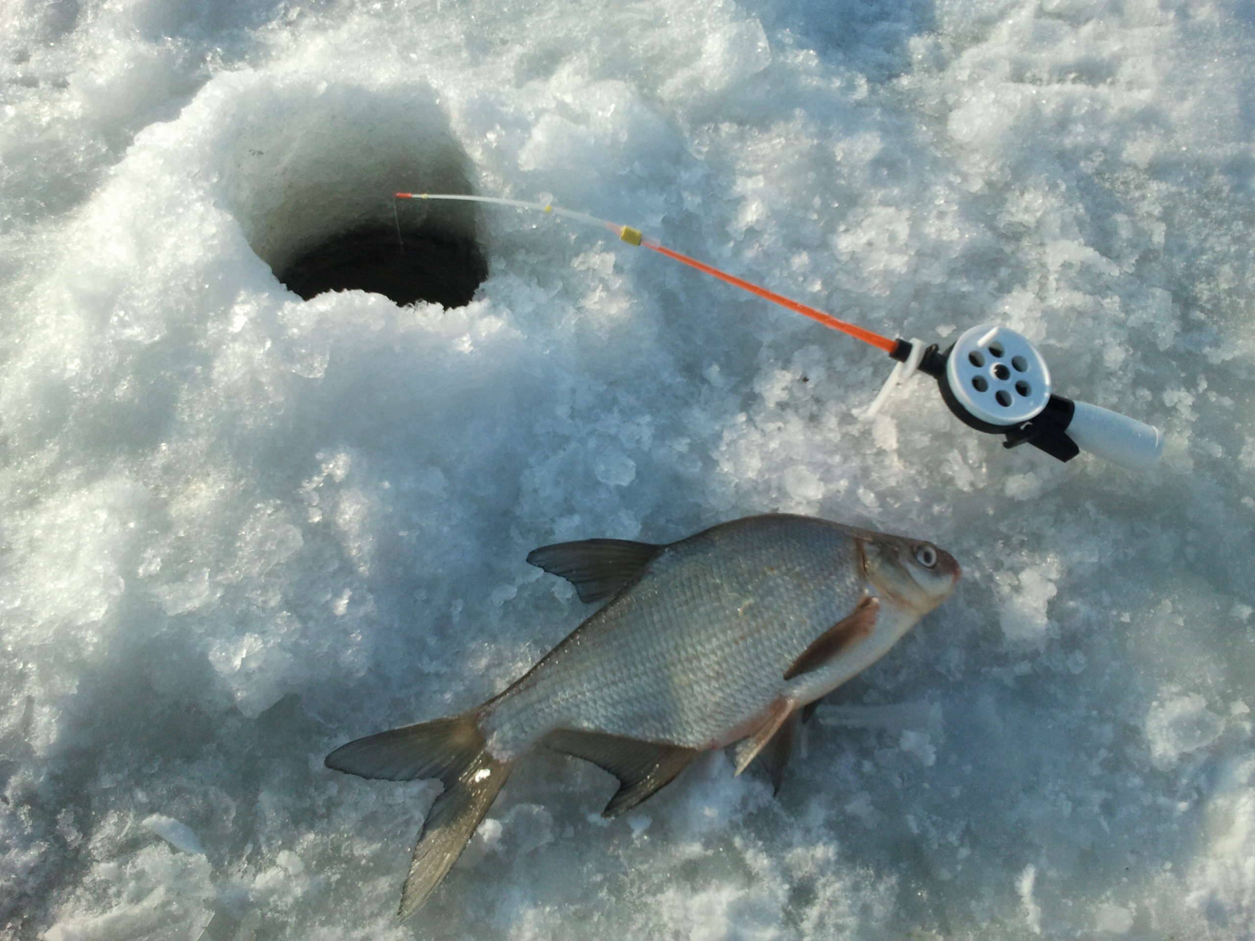 Зимняя рыбалка видео. смотреть видео про зимнюю рыбалку