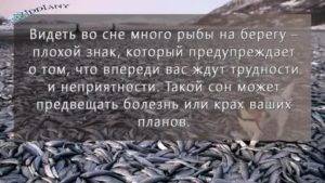 К чему снится ловить рыбу руками ?: 42 трактовки сна ❗ по различным сонникам для женщин и мужчин и что означает поймать большую живую или дохлую рыбину в чистой воде