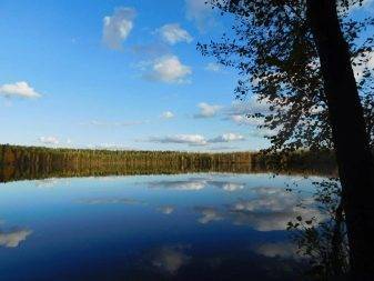 какая рыба водится в йошкар оле. Смотреть фото какая рыба водится в йошкар оле. Смотреть картинку какая рыба водится в йошкар оле. Картинка про какая рыба водится в йошкар оле. Фото какая рыба водится в йошкар оле