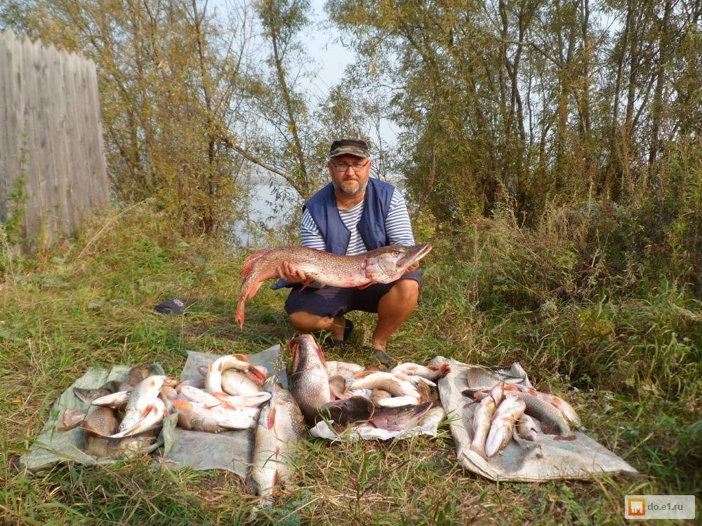 Рыбалка в томской области: обзор рыбных мест, отзывы