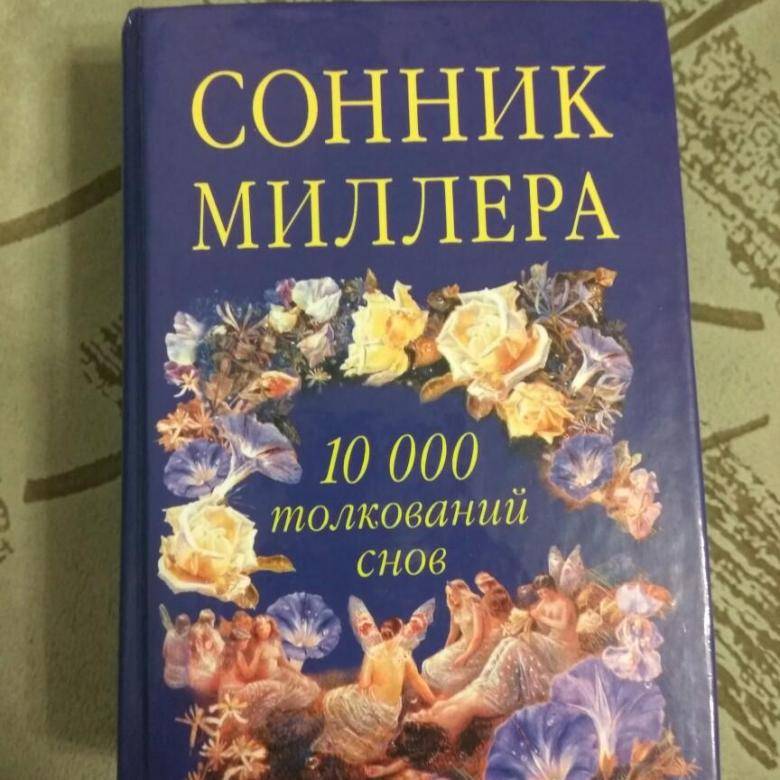 К чему снятся улитки: значение сна для женщины, зависимость от событий, что значит видеть много улиток в доме