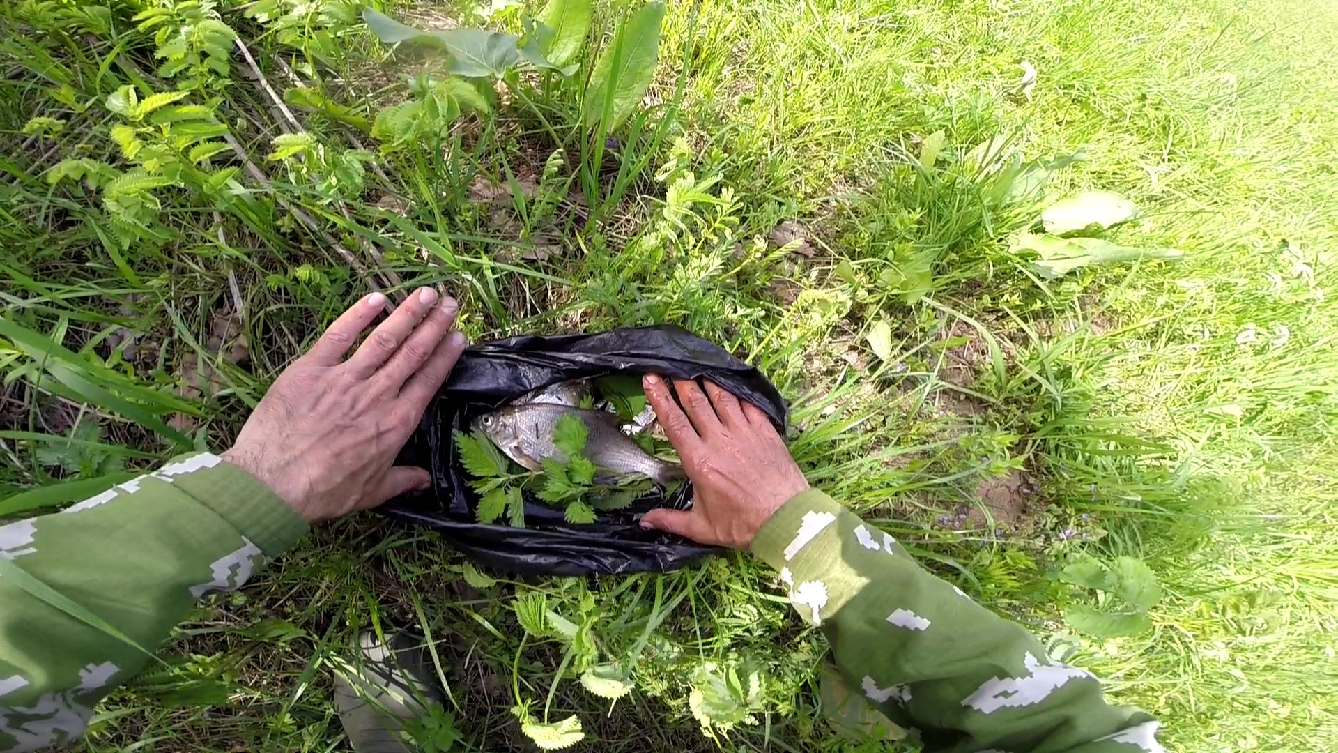 Как сохранить рыбу