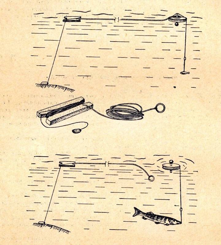 Как ловить щуку на живца - используемые приманки, снасти и оснастка, техника и особенности ловли