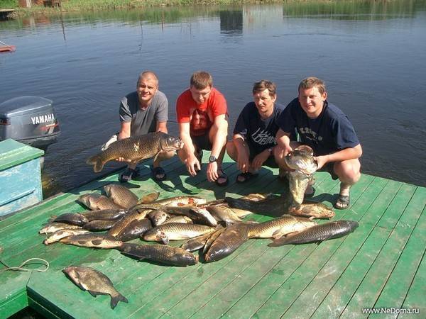 Рыбалка на реках кировской области и в кирове, обзор водоемов