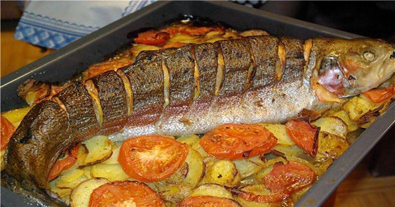 Форель в фольге в духовке - рецепты запекания с картошкой, в сливочном соусе, стейков, филе и рыбы целиком