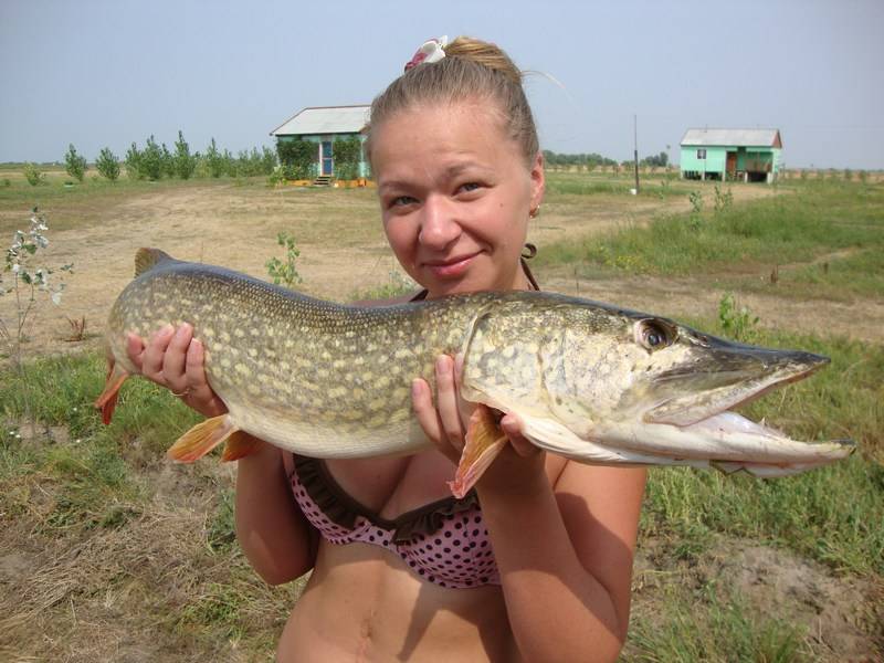 Можно ли ловить рыбу в дону. Рыбалка река Ахтуба Астраханская область. Харабали река Ахтуба. Харабалык река. Ахтуба 2021.