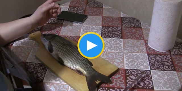 Как чистить речную рыбу (на примере карася) - пошаговая инструкция с фото