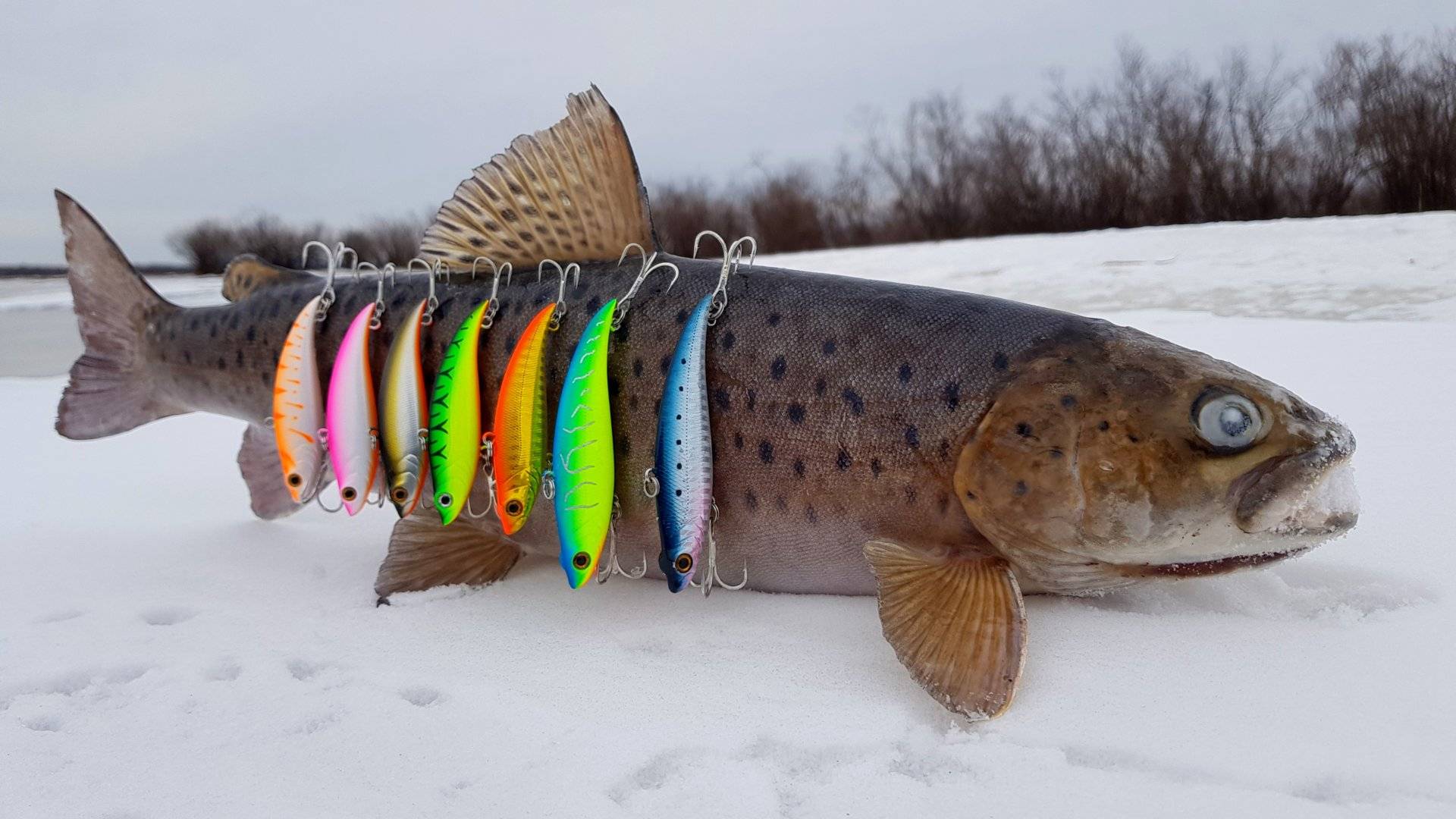 Раттлины для зимней рыбалки — что это и кого ловим