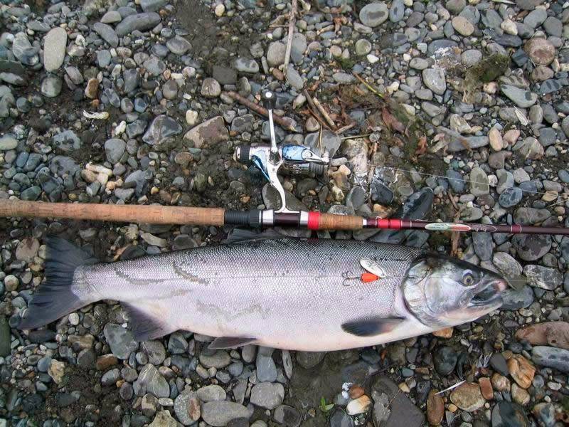 Секреты ловли гольца  рыбалка на кольском полуострове фото видео