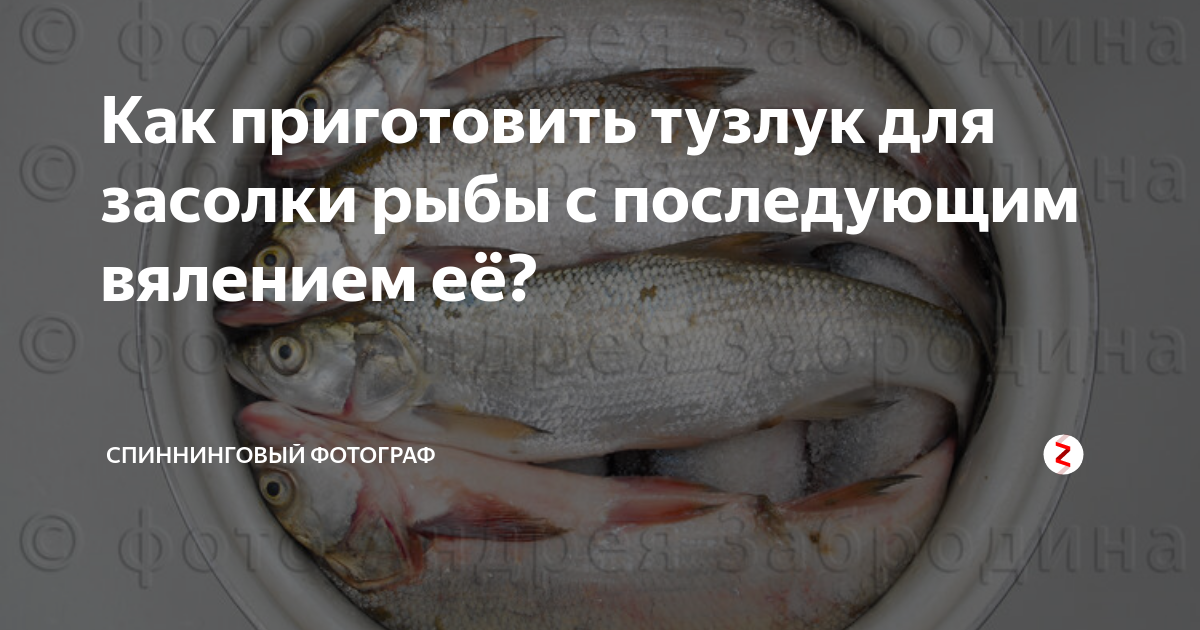 Засолка сала для копчения в домашних условиях: выбор продукта, виды посола