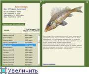 Усач — рыба, которую лучше обходить стороной