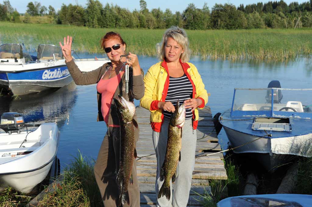Рыбалка на ладожском озере: выбор снастей, места и тактики ловли