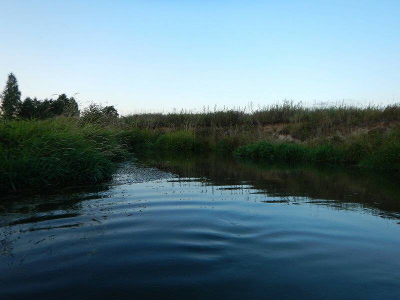 Река шерна, ногинский район. рыбалка на шерне