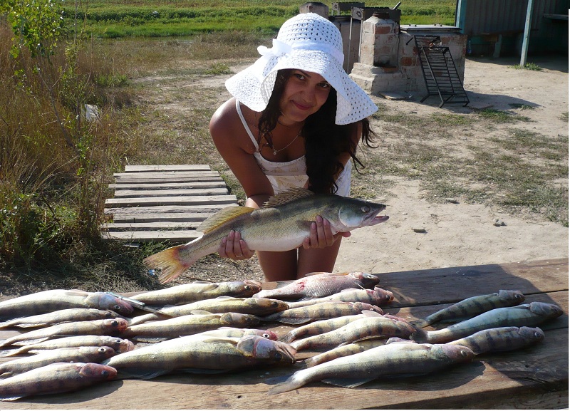 Рыболовные базы на реке ахтуба - как добраться и особенности рыбалки